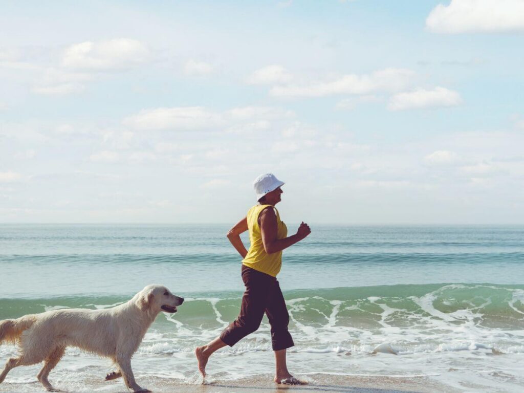 learn why your dog is panting so much