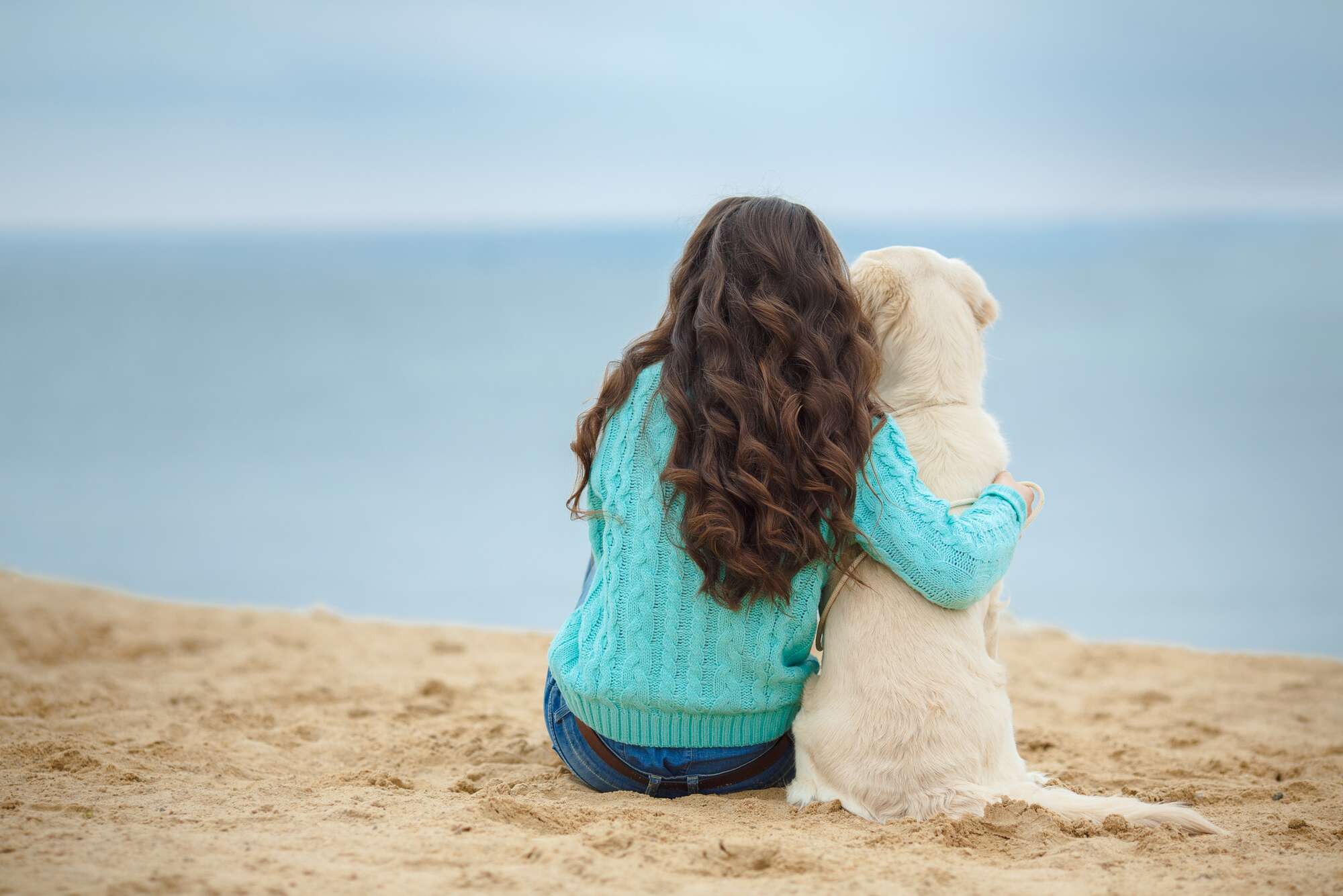 Healthy aging dog with owner at the beach