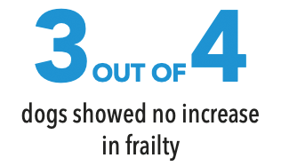 3 out of 4 dogs showed no increase in frailty
