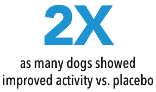 2x as many dogs showed improved activity vs. placebo