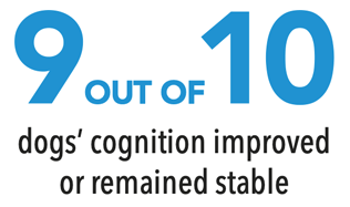 9 out of 10 dogs' cognition improved or remained stable