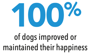 100% of dogs improved or maintained their happiness