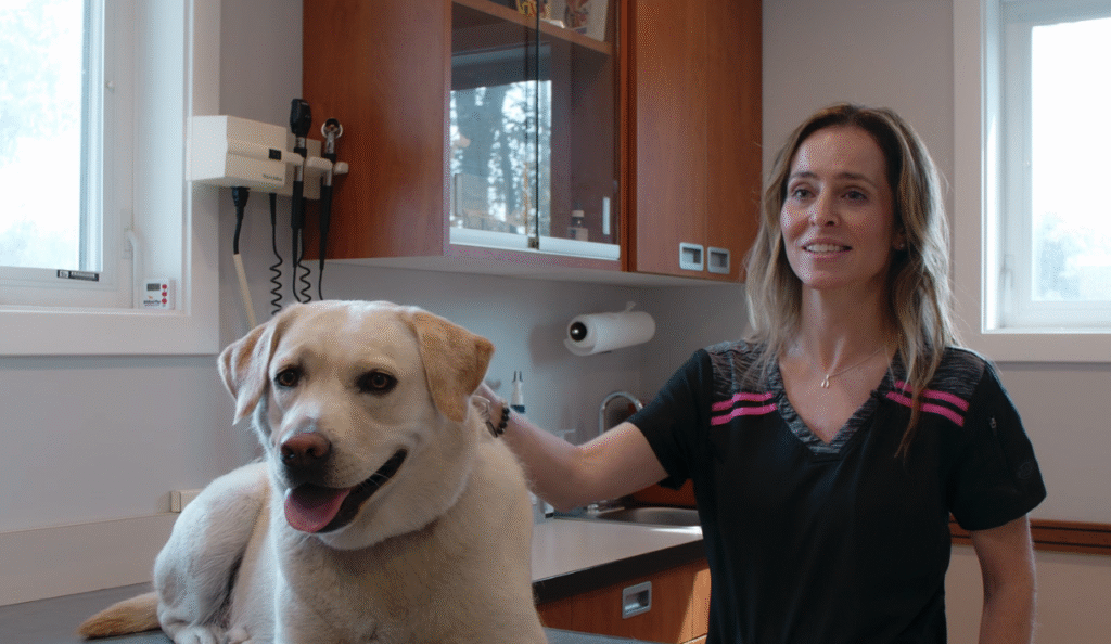 Leap Years Veterinary Partner, Dr. Oxford with patient in veterinary clinic