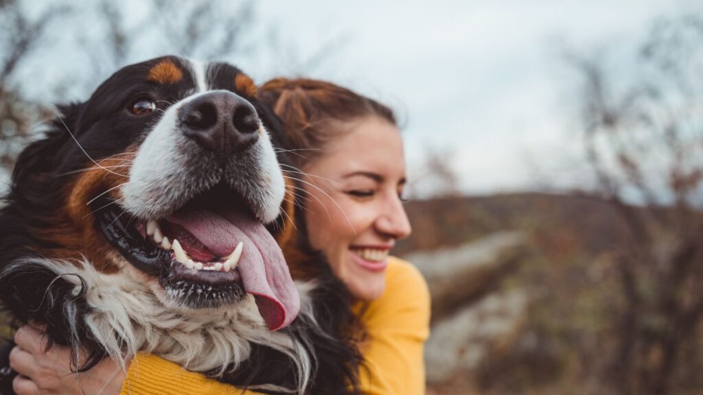 Dog owner hugging large bernese mountain dog happy
