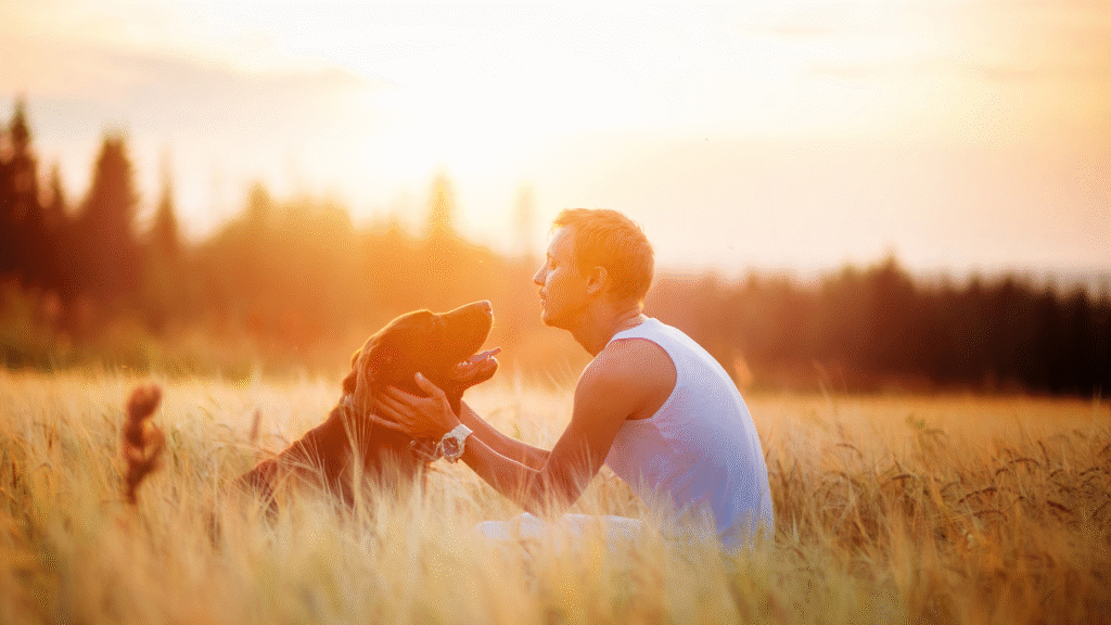 dog and owner sitting in a grass field at sunset