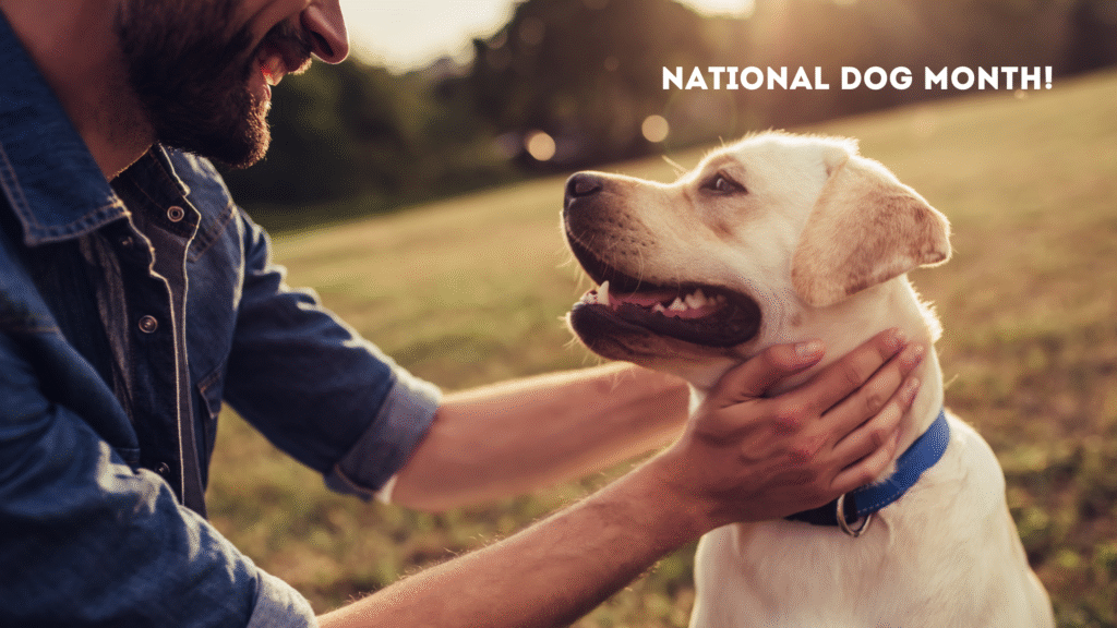 happy golden lab dog in a field with it's owner smiling at each other