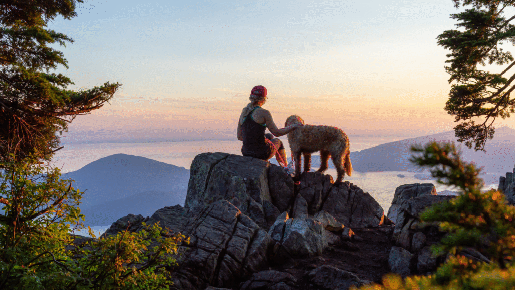 dog and owner sitting on a rock looking out to the ocean during sunset