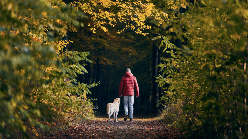 a dog owner and dog walking on the trail in autumn