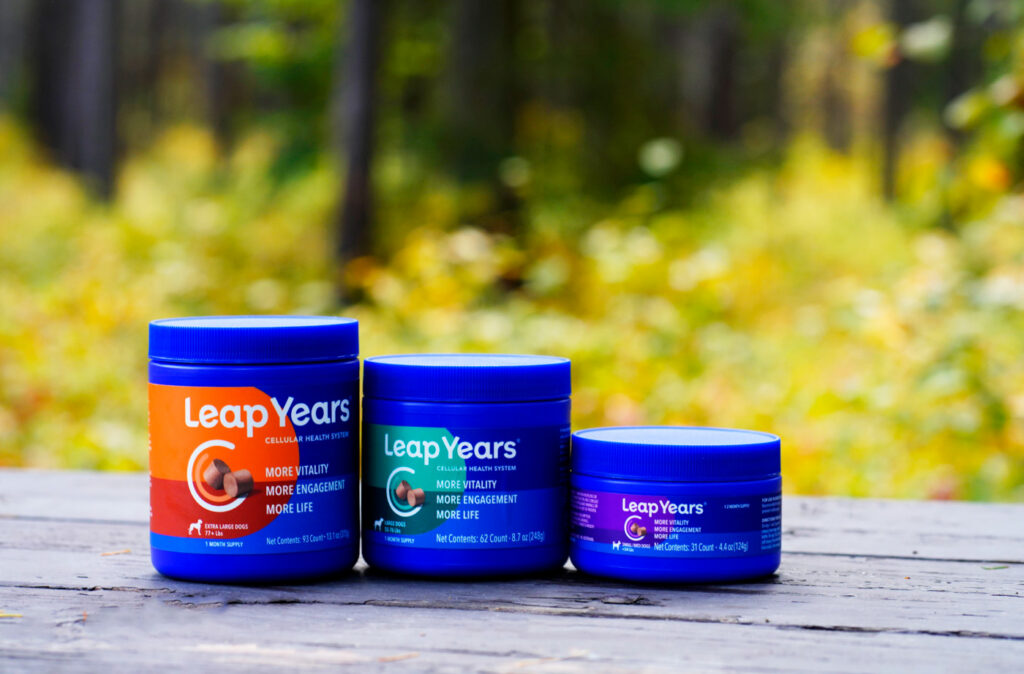 Three Leap Years products sitting on a wooden bench outside in the fall in the united states