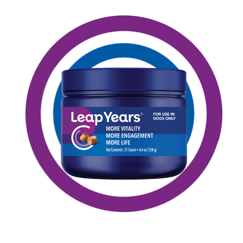 Leap Years Bottle Digital Render