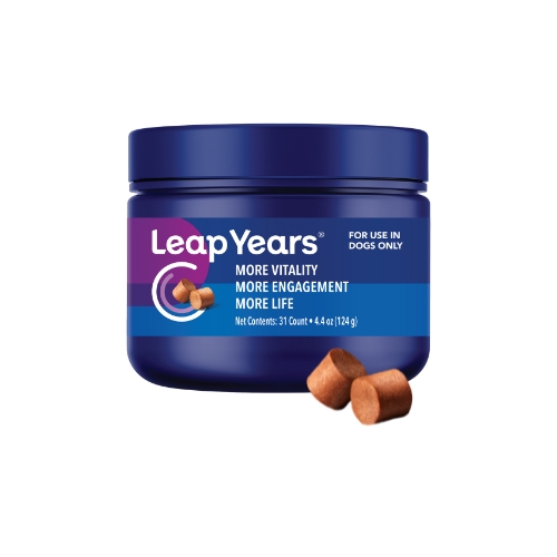 Leap Years for Dogs – Subscribe & Save with Free Shipping