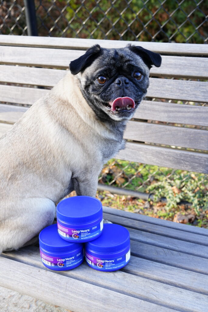 A cheerful image of a dog with the Leap Years bottles