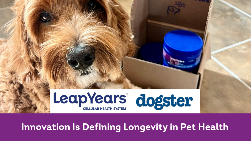 Dogster Feature