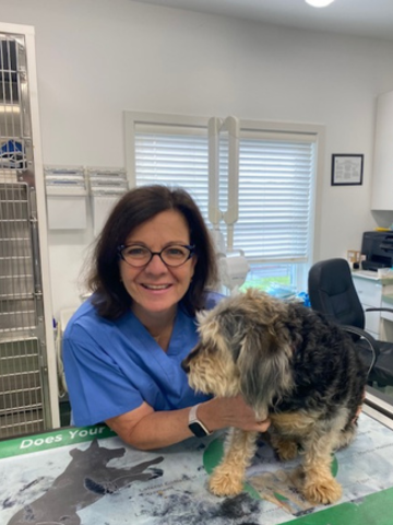 Dr. Ginny Rentko