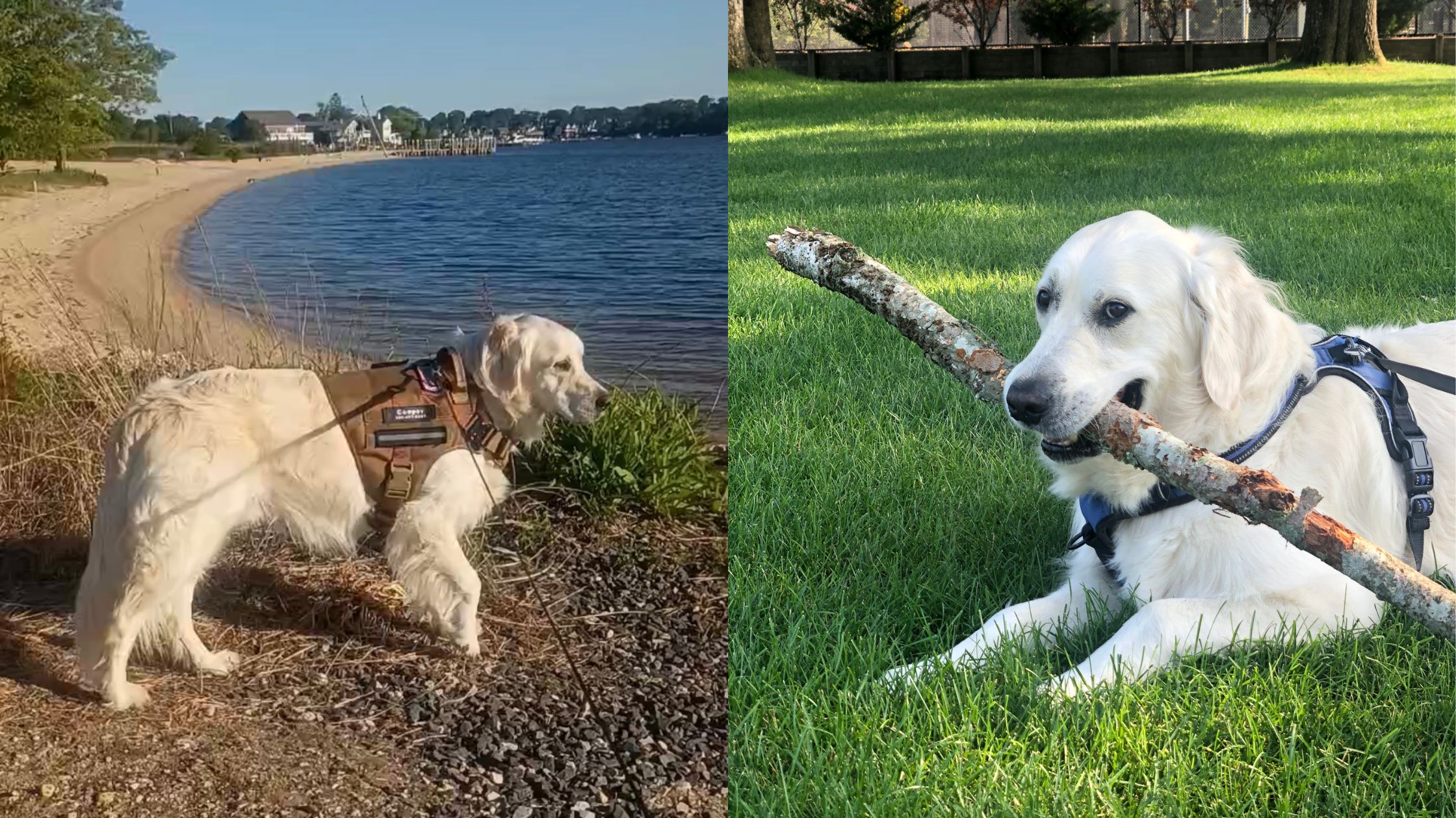 Cooper exploring outdoors with his family