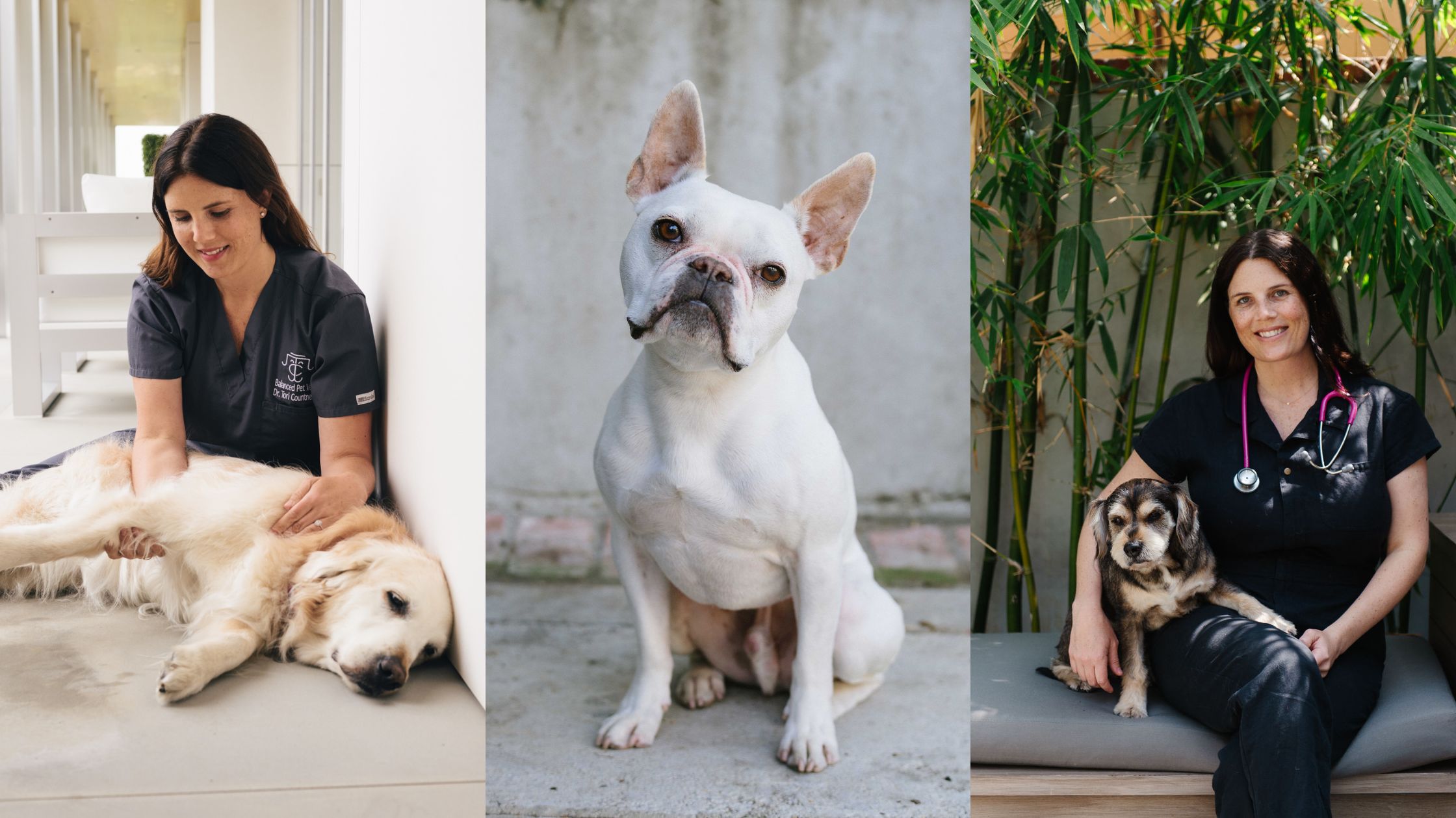 Tori, a veterinarian, with her senior dogs Huey and Ollie